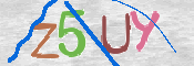 CAPTCHA (Şahıs Denetim Kodu) Resmi