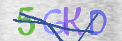 CAPTCHA (Şahıs Denetim Kodu) Resmi