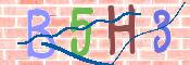 CAPTCHA (Şahıs Denetim Kodu) Resmi
