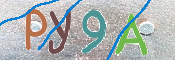 CAPTCHA (Şahıs Denetim Kodu) Resmi
