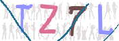 CAPTCHA (Şahıs Denetim Kodu) Resmi