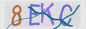 CAPTCHA (Şahıs Denetim Kodu) Resmi