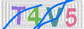 CAPTCHA (Şahıs Denetim Kodu) Resmi