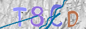 CAPTCHA (Şahıs Denetim Kodu) Resmi