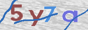 CAPTCHA (Şahıs Denetim Kodu) Resmi