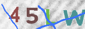 CAPTCHA (Şahıs Denetim Kodu) Resmi