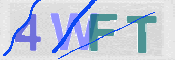 CAPTCHA (Şahıs Denetim Kodu) Resmi