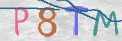 CAPTCHA (Şahıs Denetim Kodu) Resmi