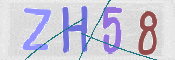 CAPTCHA (Şahıs Denetim Kodu) Resmi