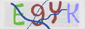 CAPTCHA (Şahıs Denetim Kodu) Resmi