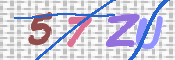 CAPTCHA (Şahıs Denetim Kodu) Resmi
