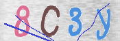 CAPTCHA (Şahıs Denetim Kodu) Resmi