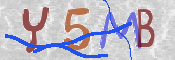 CAPTCHA (Şahıs Denetim Kodu) Resmi