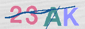 CAPTCHA (Şahıs Denetim Kodu) Resmi