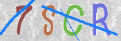CAPTCHA (Şahıs Denetim Kodu) Resmi