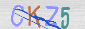 CAPTCHA (Şahıs Denetim Kodu) Resmi