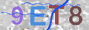 CAPTCHA (Şahıs Denetim Kodu) Resmi