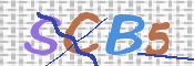 CAPTCHA (Şahıs Denetim Kodu) Resmi