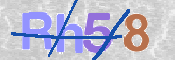 CAPTCHA (Şahıs Denetim Kodu) Resmi