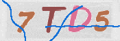 CAPTCHA (Şahıs Denetim Kodu) Resmi