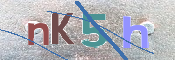 CAPTCHA (Şahıs Denetim Kodu) Resmi