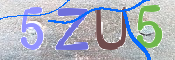CAPTCHA (Şahıs Denetim Kodu) Resmi