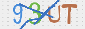 CAPTCHA (Şahıs Denetim Kodu) Resmi
