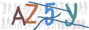 CAPTCHA (Şahıs Denetim Kodu) Resmi