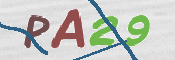 CAPTCHA (Şahıs Denetim Kodu) Resmi