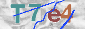 CAPTCHA (Şahıs Denetim Kodu) Resmi