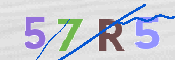CAPTCHA (Şahıs Denetim Kodu) Resmi