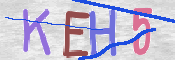 CAPTCHA (Şahıs Denetim Kodu) Resmi