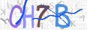 CAPTCHA (Şahıs Denetim Kodu) Resmi