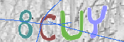 CAPTCHA (Şahıs Denetim Kodu) Resmi