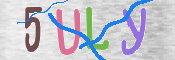 CAPTCHA (Şahıs Denetim Kodu) Resmi