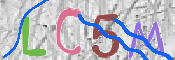 CAPTCHA (Şahıs Denetim Kodu) Resmi