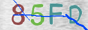 CAPTCHA (Şahıs Denetim Kodu) Resmi