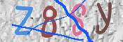 CAPTCHA (Şahıs Denetim Kodu) Resmi