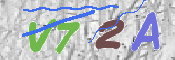 CAPTCHA (Şahıs Denetim Kodu) Resmi