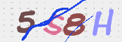 CAPTCHA (Şahıs Denetim Kodu) Resmi