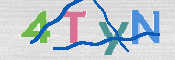 CAPTCHA (Şahıs Denetim Kodu) Resmi