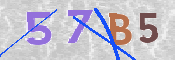 CAPTCHA (Şahıs Denetim Kodu) Resmi