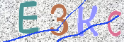 CAPTCHA (Şahıs Denetim Kodu) Resmi