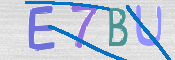 CAPTCHA (Şahıs Denetim Kodu) Resmi