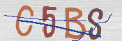 CAPTCHA (Şahıs Denetim Kodu) Resmi