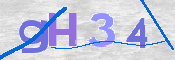 CAPTCHA (Şahıs Denetim Kodu) Resmi