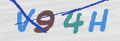 CAPTCHA (Şahıs Denetim Kodu) Resmi