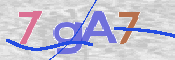 CAPTCHA (Şahıs Denetim Kodu) Resmi