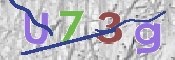 CAPTCHA (Şahıs Denetim Kodu) Resmi