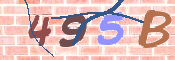CAPTCHA (Şahıs Denetim Kodu) Resmi